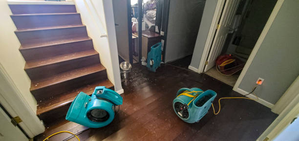 Best Flood damage cleanup  in Wake Forest, NC