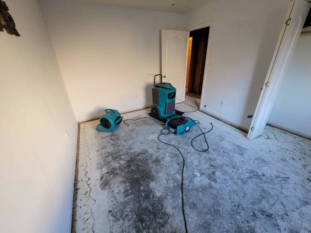 Wake Forest, NC Water damage restoration Pros