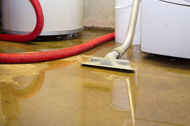 Best Water damage restoration services  in Wake Forest, NC