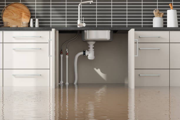 Best Residential water damage restoration  in Wake Forest, NC