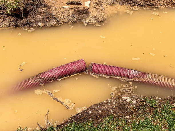 Best Water damage cleanup near me  in Wake Forest, NC