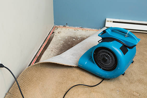 Best Fire Damage Restoration  in Wake Forest, NC